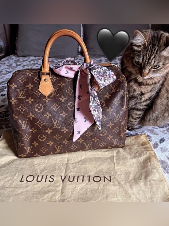 Louis Vuitton Handbags - Louis Vuitton Monogram Speedy 30